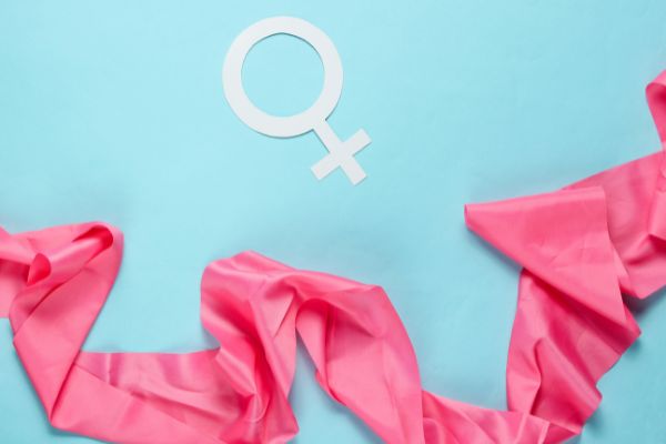 Feminisme dan Postfeminisme: Perbincangan Awal